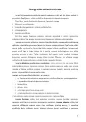 Atsargų auditas įmonių veikloje 4 puslapis