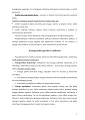 Atsargų auditas įmonių veikloje 5 puslapis