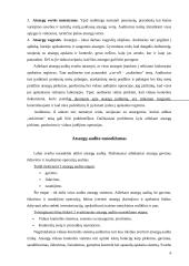 Atsargų auditas įmonių veikloje 6 puslapis