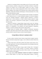 Atsargų auditas įmonių veikloje 8 puslapis