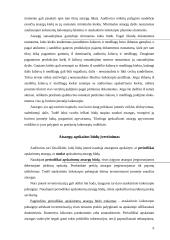 Atsargų auditas įmonių veikloje 9 puslapis