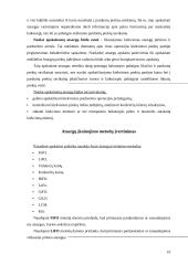 Atsargų auditas įmonių veikloje 10 puslapis