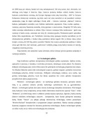Banko analizė Lietuvos bankų sektoriaus situacijoje 19 puslapis