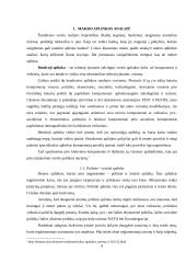 Banko analizė Lietuvos bankų sektoriaus situacijoje 3 puslapis