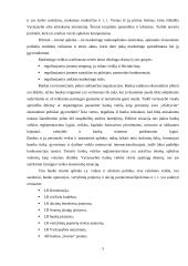 Banko analizė Lietuvos bankų sektoriaus situacijoje 4 puslapis