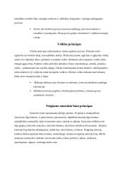 Bendrieji ugdymo principai 5 puslapis