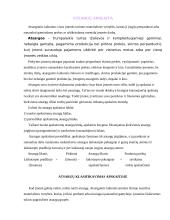 Buhalterinė apskaita. Atsargų metodas FIFO 6 puslapis