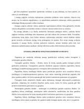 Buhalterinė apskaita. Atsargų metodas FIFO 8 puslapis