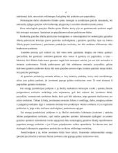 Buhalterinė apskaita. Atsargų metodas FIFO 9 puslapis