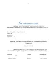 Charakteristika ir veiklos dokumentai: UAB "Mineraliniai vandenys" 18 puslapis