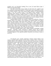 Damasko plienas 4 puslapis