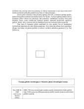 Damasko plienas 9 puslapis