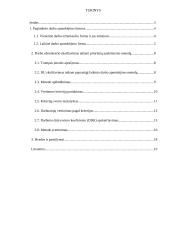 Darbo apmokėjimas taikant prioritetų paskirstymo metodą 2 puslapis