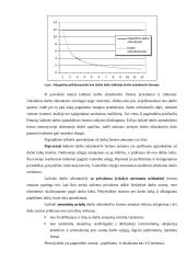 Darbo apmokėjimas taikant prioritetų paskirstymo metodą 6 puslapis