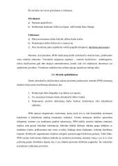 Darbo apmokėjimas taikant prioritetų paskirstymo metodą 9 puslapis