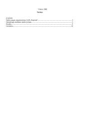 Darbų saugos projektas 2 puslapis