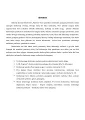 Darbų saugos projektas 19 puslapis