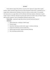 Darbų saugos projektas 9 puslapis