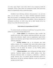 Darbuotojo pažeminimas pareigose 4 puslapis