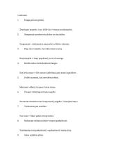 Kalbos kultūros kontrolinis darbas