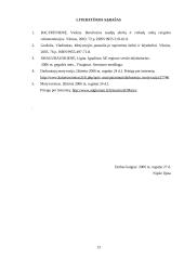 Darbuotojų motyvavimo šiuolaikinės tendencijos, jo reikšmė dabarties organizacijoje 12 puslapis