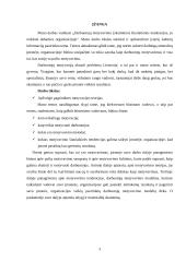 Darbuotojų motyvavimo šiuolaikinės tendencijos, jo reikšmė dabarties organizacijoje 2 puslapis