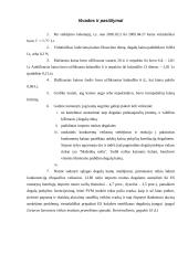 Dinamikos eilutės analitinių rodiklių skaičiavimai 8 puslapis