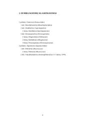 Dumbliagrybiai ir aukšliagrybiai 4 puslapis