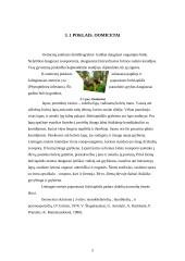 Dumbliagrybiai ir aukšliagrybiai 5 puslapis