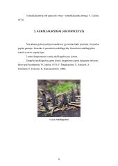 Dumbliagrybiai ir aukšliagrybiai 8 puslapis