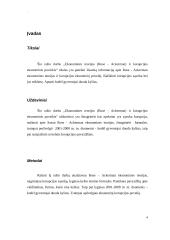 Ekonominės teorijos (Rose-Ackerman) ir korupcijos ekonominis poveikis 4 puslapis