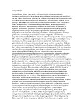 Kultūros epochos ir literatūros srovės   16 puslapis