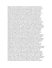 Kultūros epochos ir literatūros srovės   19 puslapis