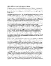 Likimo samprata žmogaus gyvenime