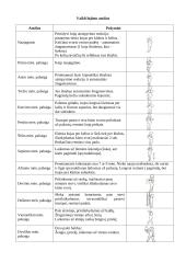 Funkcinė vaiko vystimosi diagnostika pagal T. Helbriuge 3 puslapis