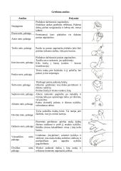 Funkcinė vaiko vystimosi diagnostika pagal T. Helbriuge 4 puslapis