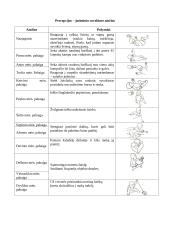 Funkcinė vaiko vystimosi diagnostika pagal T. Helbriuge 5 puslapis