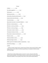 Leksika bei leksikos klaidos