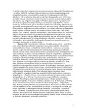 Genetinės ir teminės kritikos raida 3 puslapis