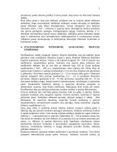 Geodeziniai darbai atliekant inžinerinius geologinius ir hidrometeorologinius tyrinėjimus 3 puslapis