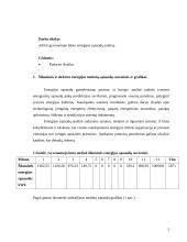 Gyvenamojo būsto energijos išlaidų analizė 2 puslapis