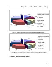 Gyvenamojo būsto energijos išlaidų analizė 5 puslapis