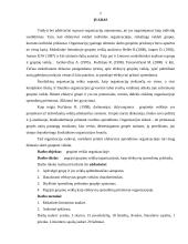 Grupinė veikla, kaip efektyvių sprendimų prielaida 2 puslapis