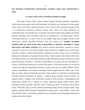 Grupinė veikla, kaip efektyvių sprendimų prielaida 17 puslapis