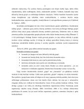 Grupinė veikla, kaip efektyvių sprendimų prielaida 6 puslapis