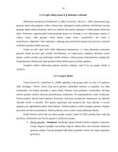 Grupinė veikla, kaip efektyvių sprendimų prielaida 10 puslapis