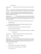 Lietvių kalbos stiliai, ju klasifikavimas ir ypatybės