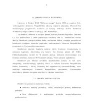 Įmonės analizė: elektroninės produkcijos prekyba UAB "Elektros įranga" 4 puslapis