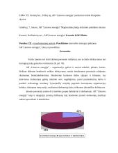 Įmonės aprašymas: elektros energijos perdavimas AB "Lietuvos energija" 3 puslapis