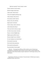 Maironio eilėraščio “Vasaros naktys” analizė